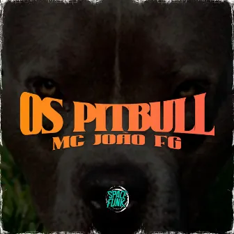 Os Pitbull by Mc João Fg