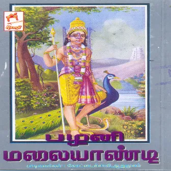 Palani Malaiyandi by Unknown Artist