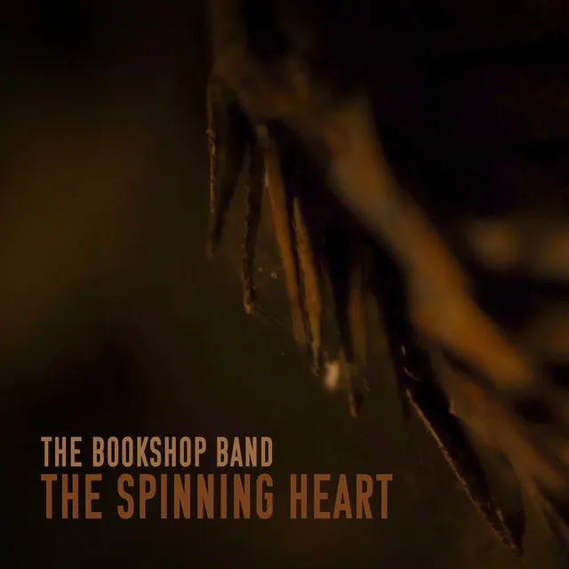 The Spinning Heart