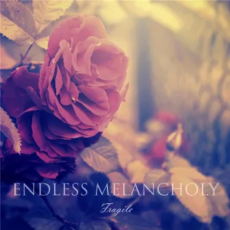 Fragile by Endless Melancholy