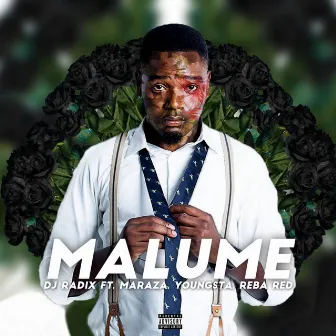 Malume (feat. Reba Red, Youngsta CPT and Maraza) by Dj Radix