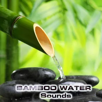 Bamboo Water Sounds by Water Sounds FX