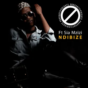 Ndibize by Private ProParty