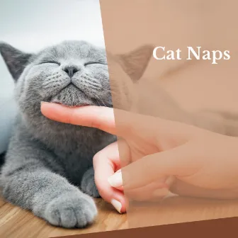 2021 Cat Naps by Cat Music Experience