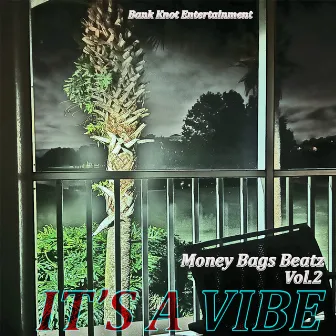 Money Bags Beatz Vol.2 It's A Vibe by P.Money Bags