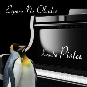 Pista Espero No Olvides by Irene Freer