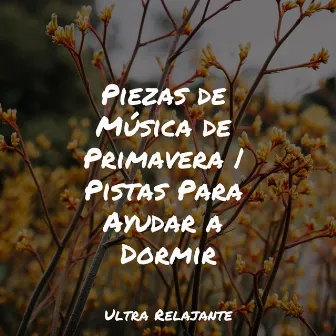 Piezas de Música de Primavera | Pistas Para Ayudar a Dormir by Musica Para Dormir Profundamente