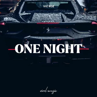 One Night by Vic Roz