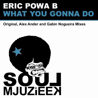 What You Gonna Do by Eric Powa B