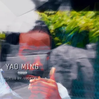 Yao Ming by PG