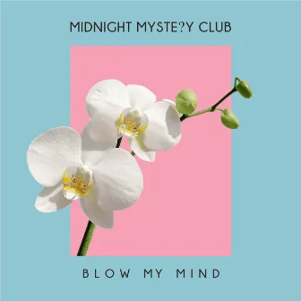 Blow My Mind by Midnight Mystery Club