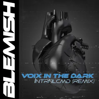 Blemish by Voix in the Dark