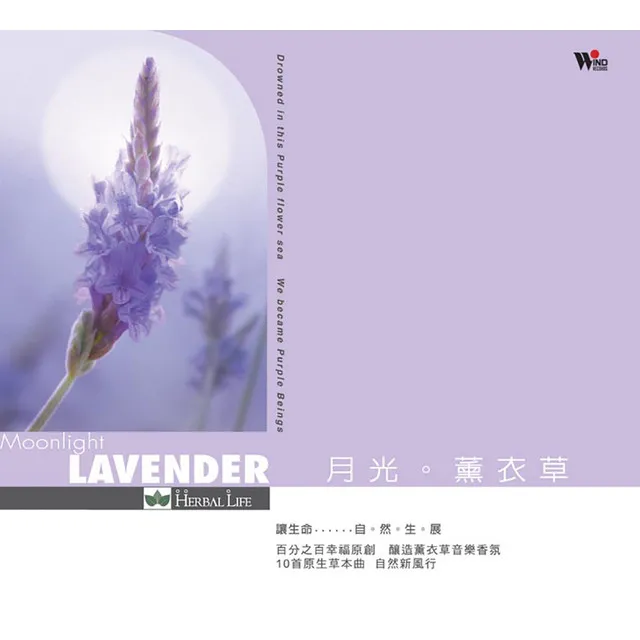 追憶似水年華