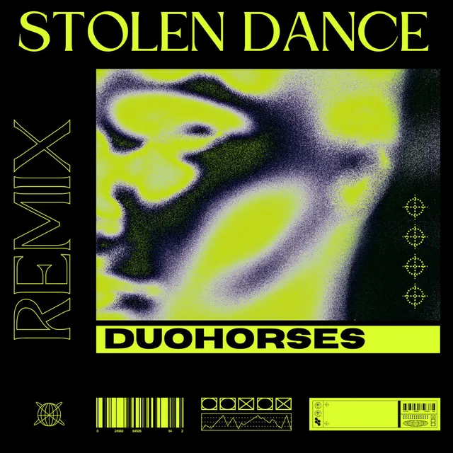 Stolen Dance - Remix