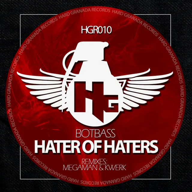 Hater of haters - Megaman Remix