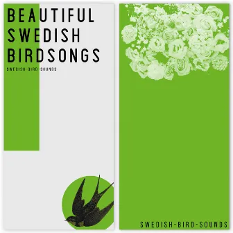 Beautiful Swedish Birdsongs by Swedish-Bird-Sounds