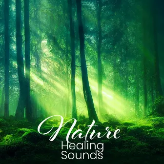 Nature Healing Sounds – A Forest Symphony (For Deep Sleep, Stress Relief, Inner Peace & Total Relax) by Total Nature Relaxation