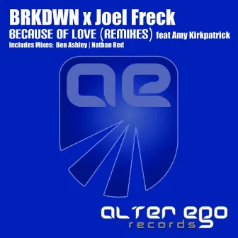 Because of Love (Remixes) by Joel Freck