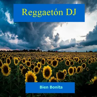 Bien Bonita by Reggaeton DJ