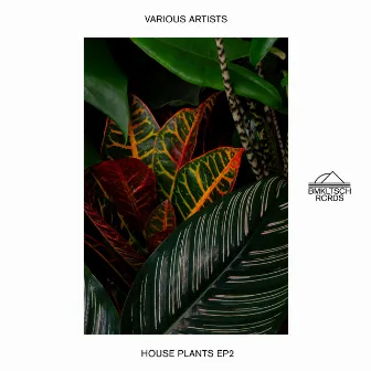 House Plants 2 - EP by Hyslop