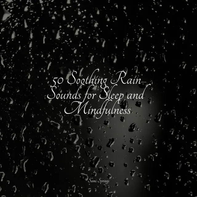 50 Soothing Rain Sounds for Sleep and Mindfulness