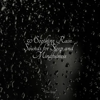 50 Soothing Rain Sounds for Sleep and Mindfulness by Raindrops Sleep