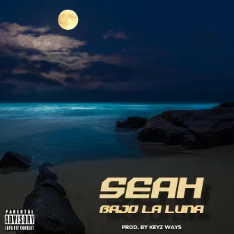 Bajo La Luna by Seah