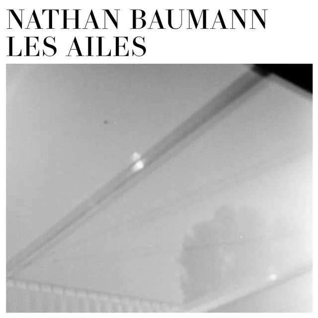 Les Ailes