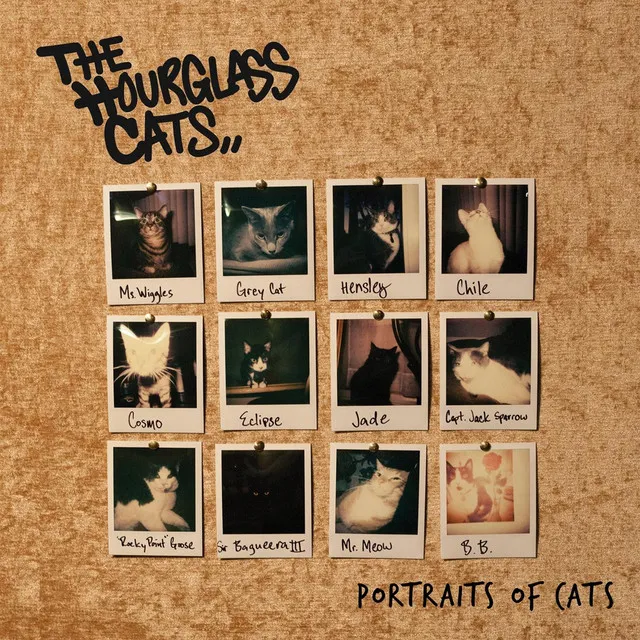 Portraits of Cats