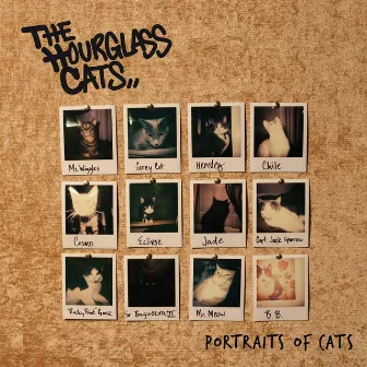 Portraits of Cats by The Hourglass Cats