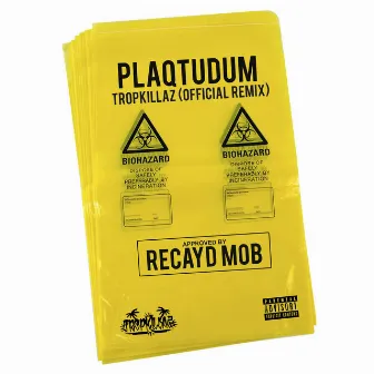 Plaqtudum (Tropkillaz Remix) by Recayd Mob