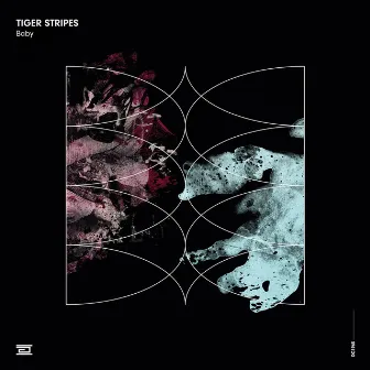 Baby (Radio Edit) by Tiger Stripes