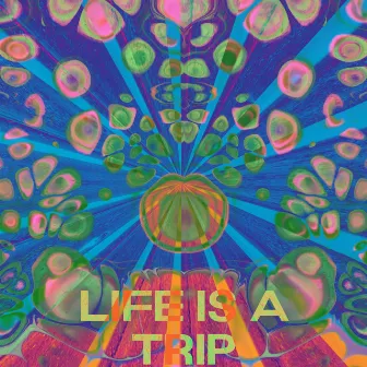 Life Is A Trip by Dr. Downs