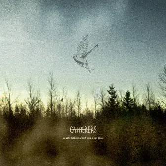 Caught Between a Rock and a Sad Place by Gatherers