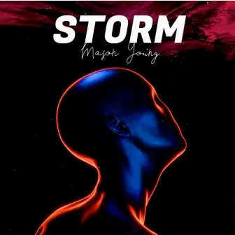 Storm by Mason Young