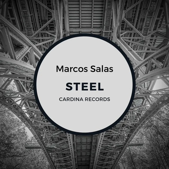 Steel