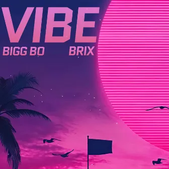 Vibe by Bigg Bo