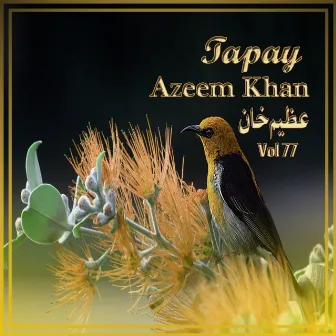 Tapay, Vol. 77 by Azeem Khan