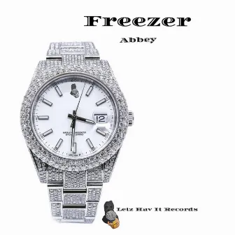 Freezer by Abbey