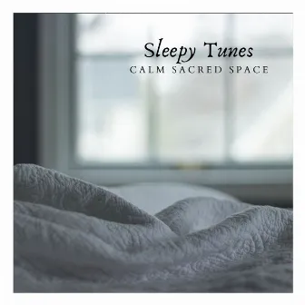 Sleepy Tunes by Calm Sacred Space