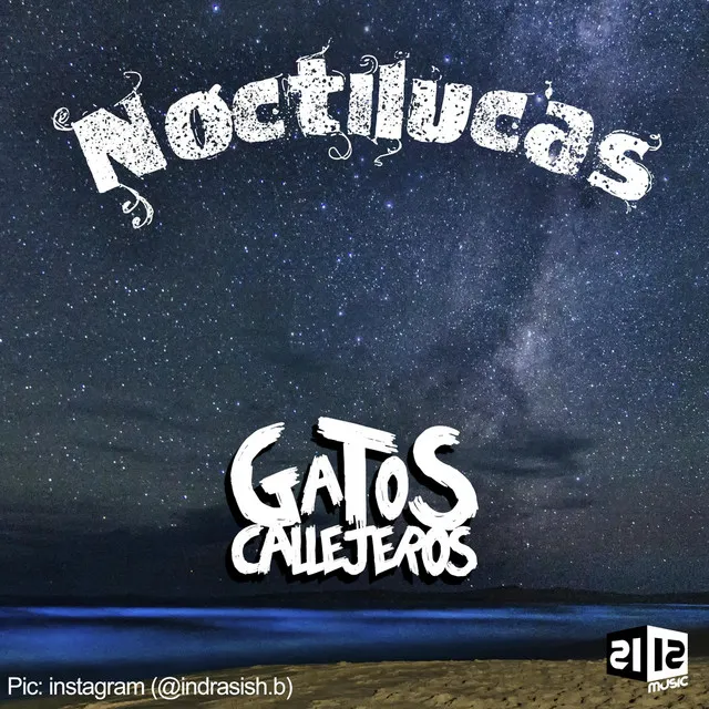 Noctilucas