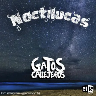 Noctilucas by Gatos Callejeros