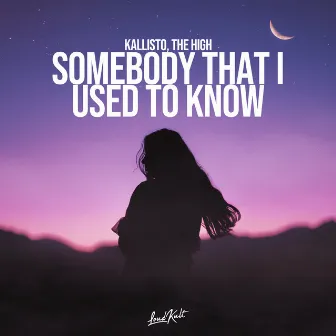 Somebody That I Used to Know by Kallisto