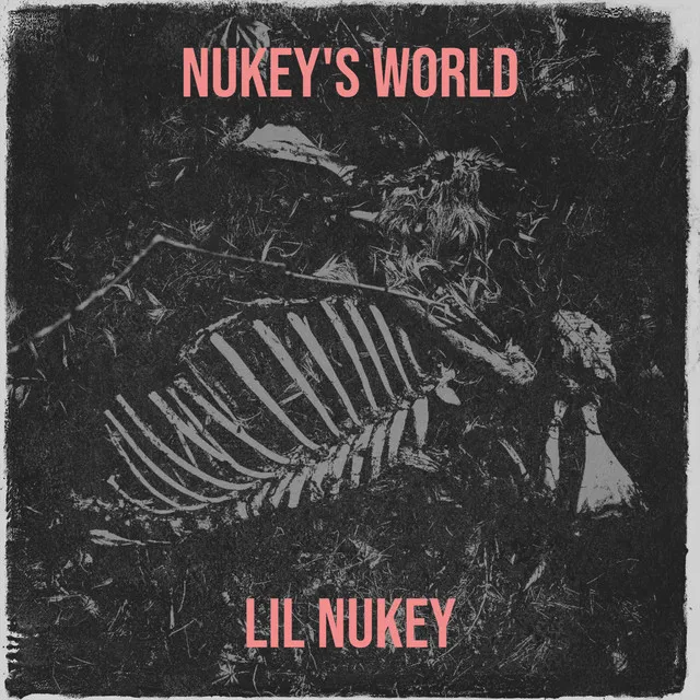 Nukey's World