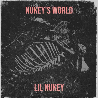 Nukey's World by LIL NUKEY