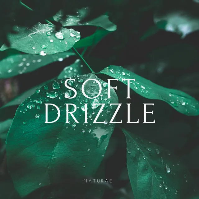 Soft Drizzle