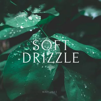 Soft Drizzle by naturae