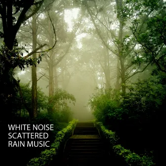 White Noise: Scattered Rain Music by Study Music Collective