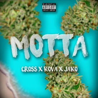 Motta (Freestyle) by Kova