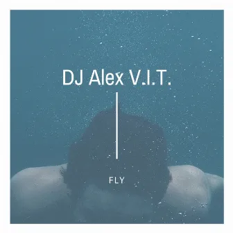 Fly by DJ Alex V.I.T.